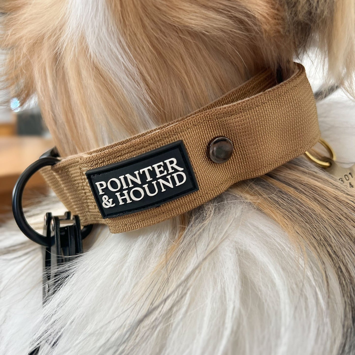 Tactical Collar - Tan
