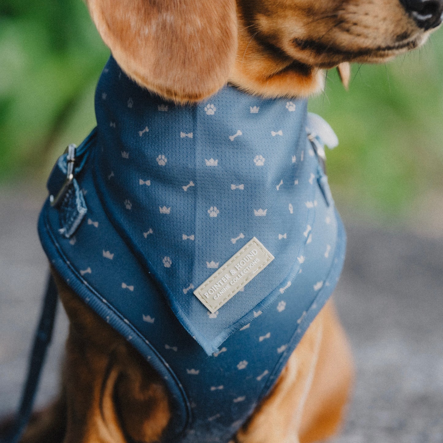 Bandana - Toby Print