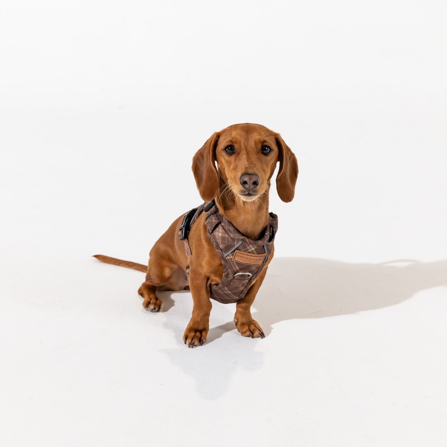 Signature Harness - Brown Tartan