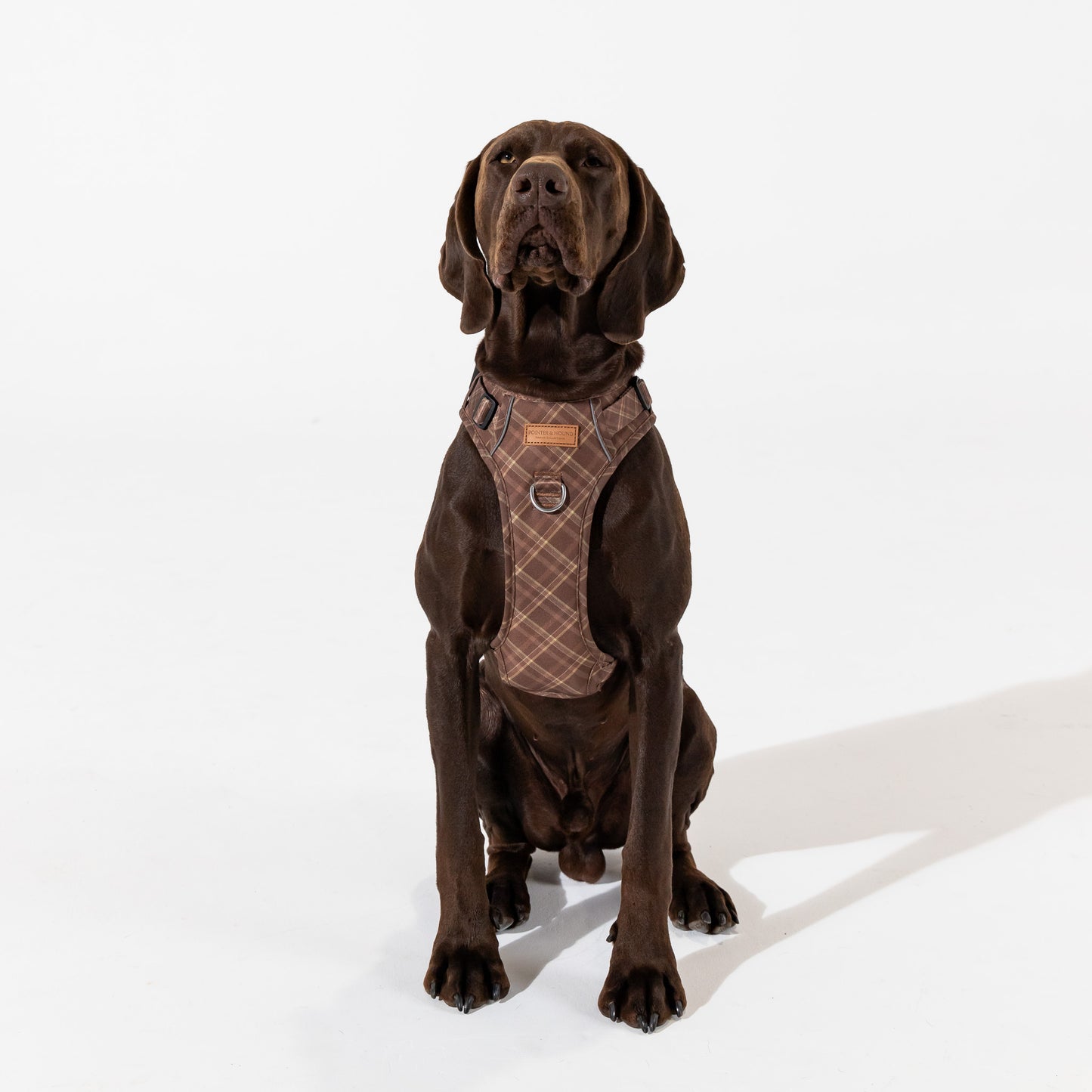 Signature Harness - Brown Tartan