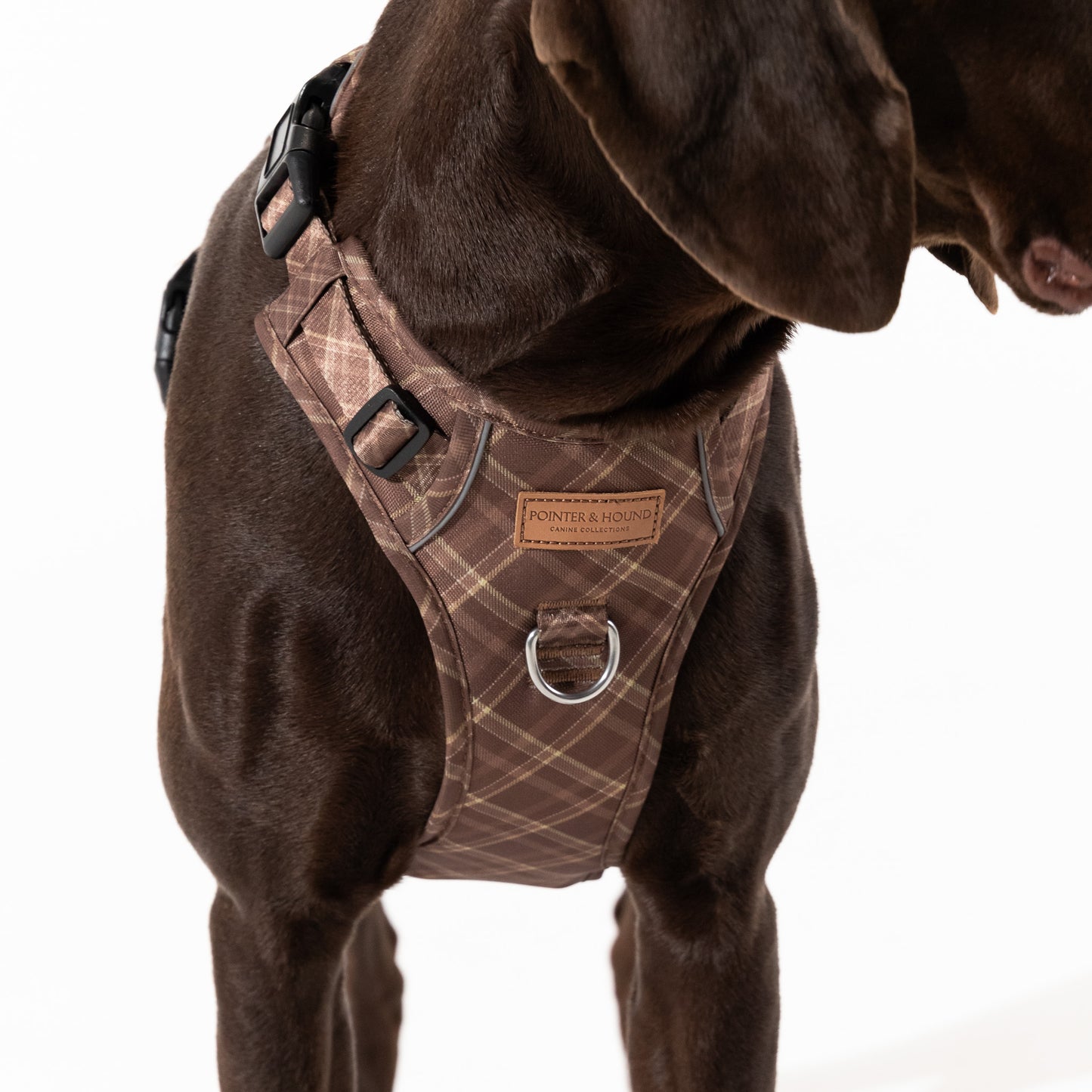 Signature Harness - Brown Tartan