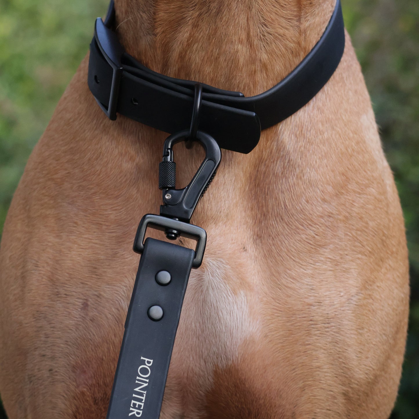 Waterproof PVC Collars