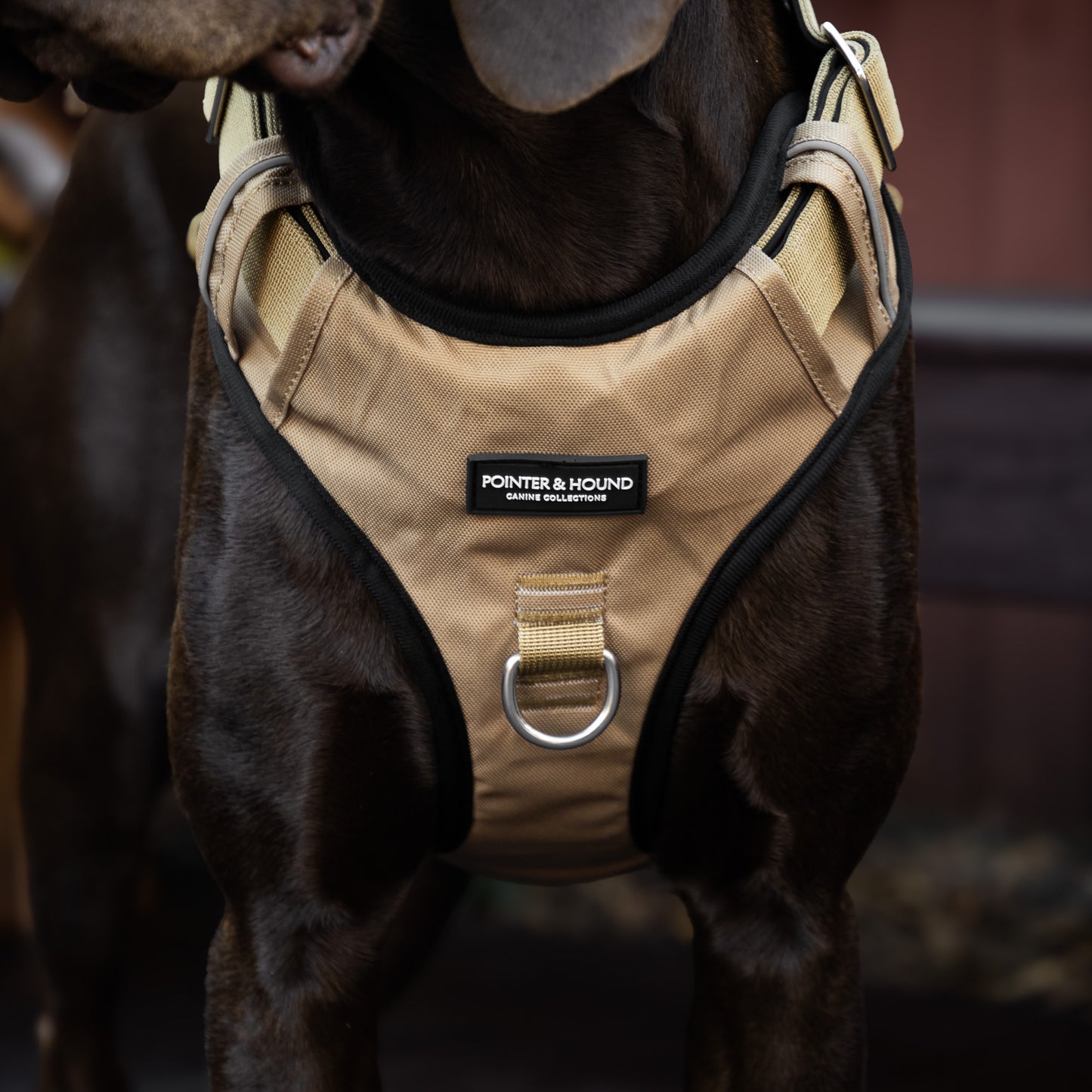 Tactical Harness - Tan