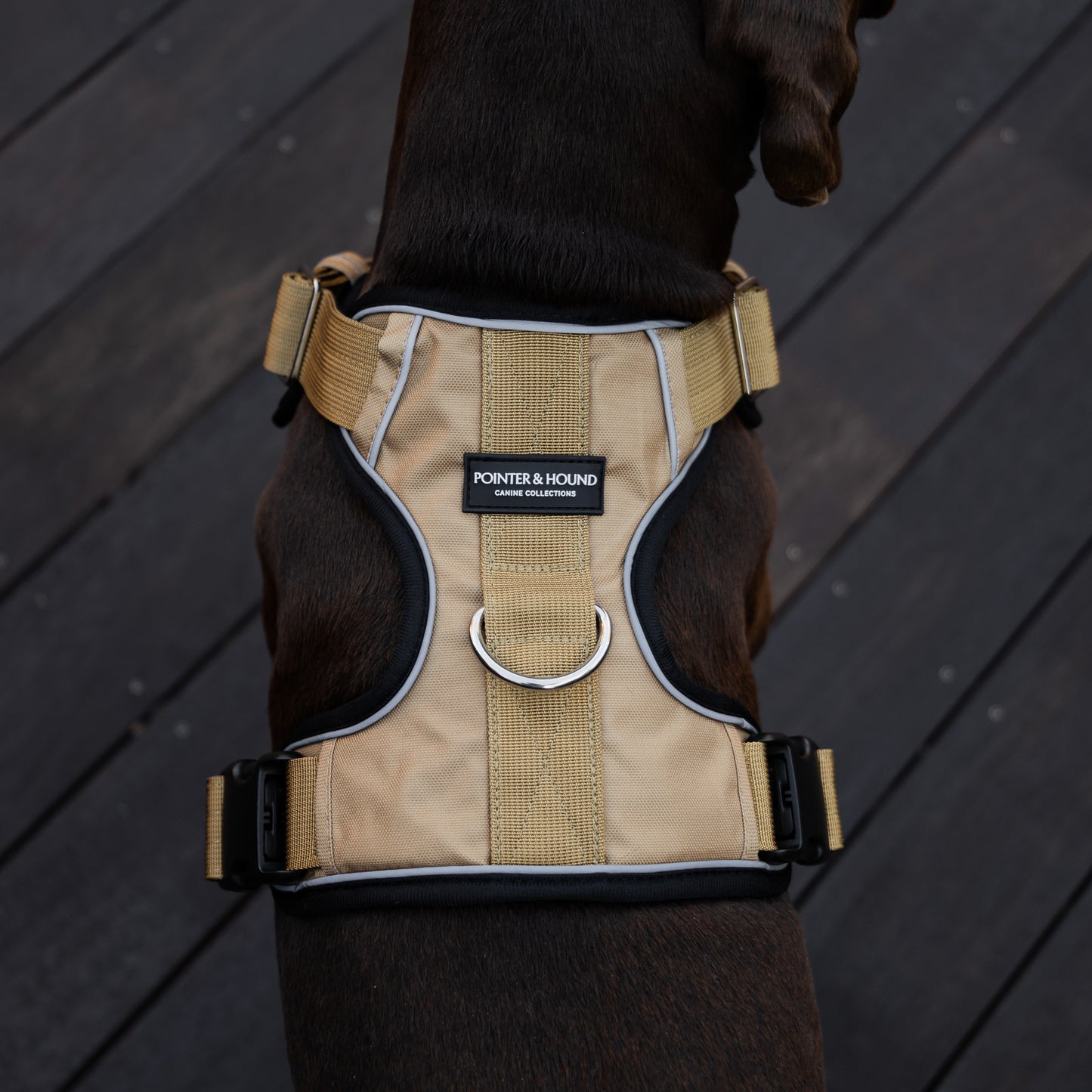 Tactical Harness - Tan