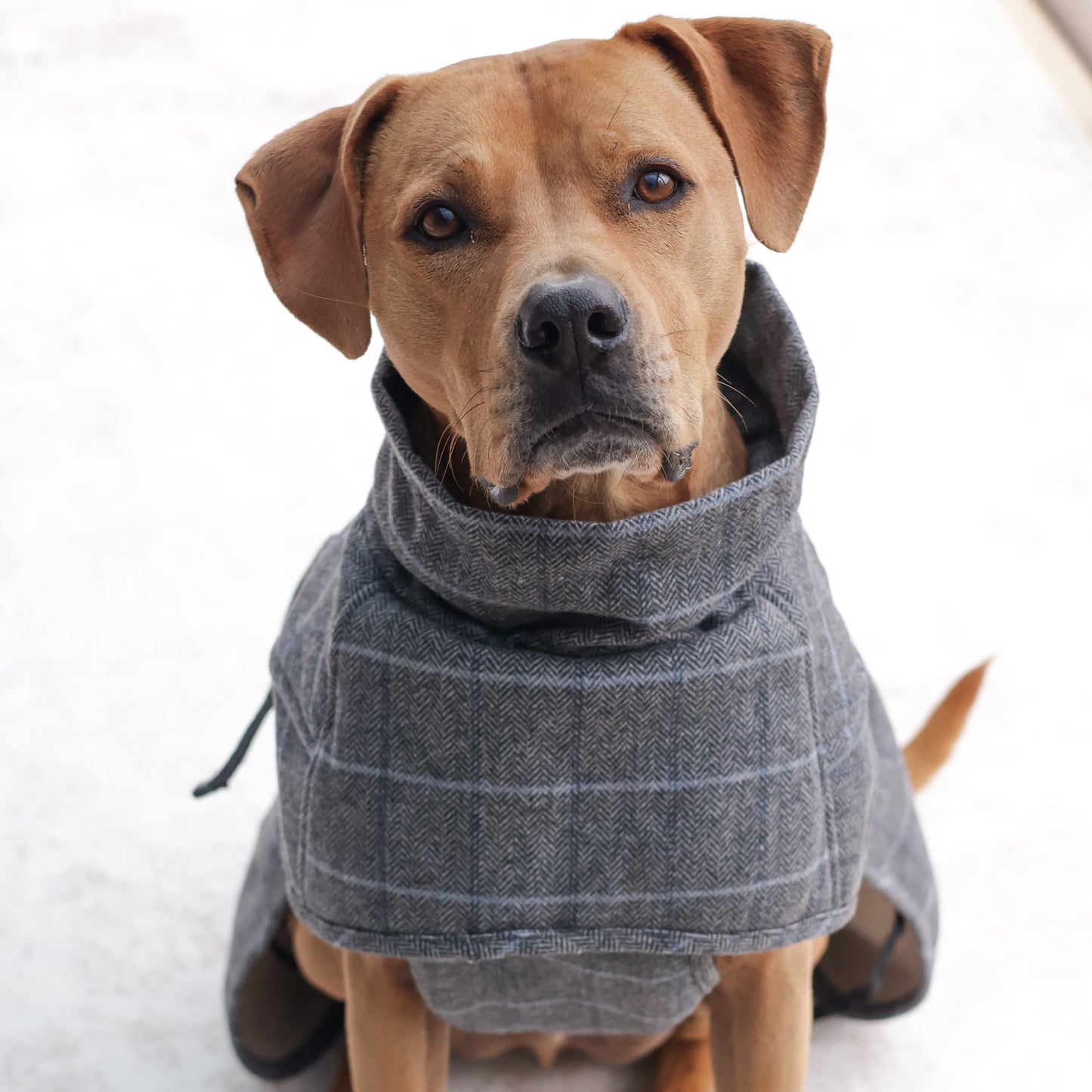 Wool-Blend Coat
