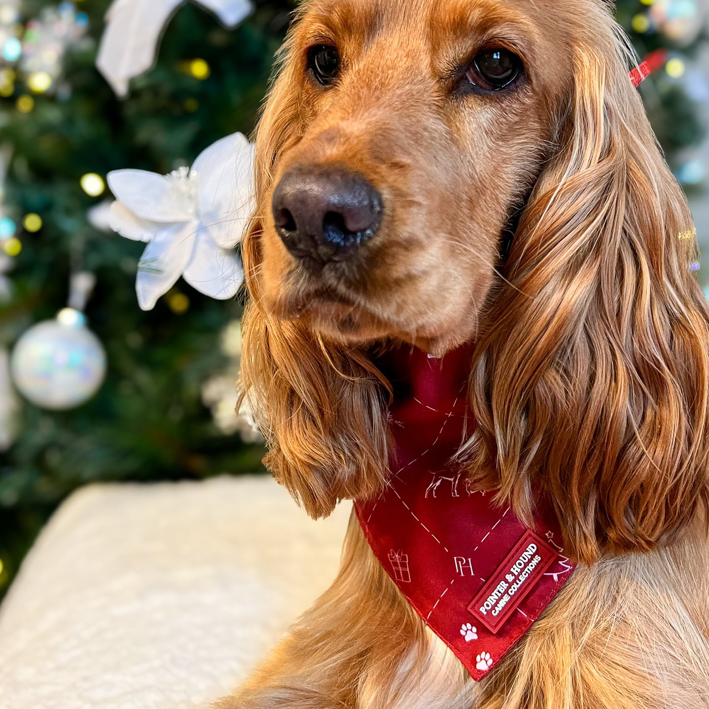 Christmas Bandana