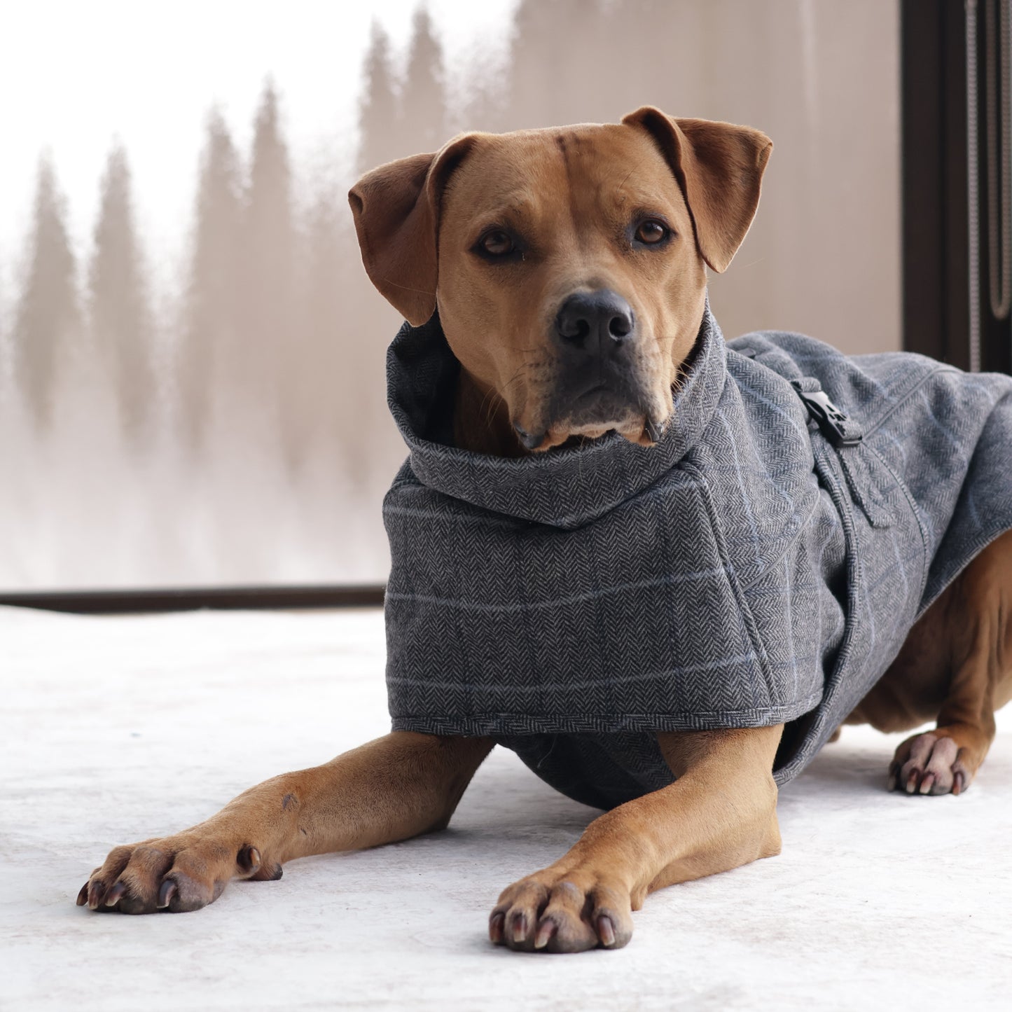 Wool-Blend Coat