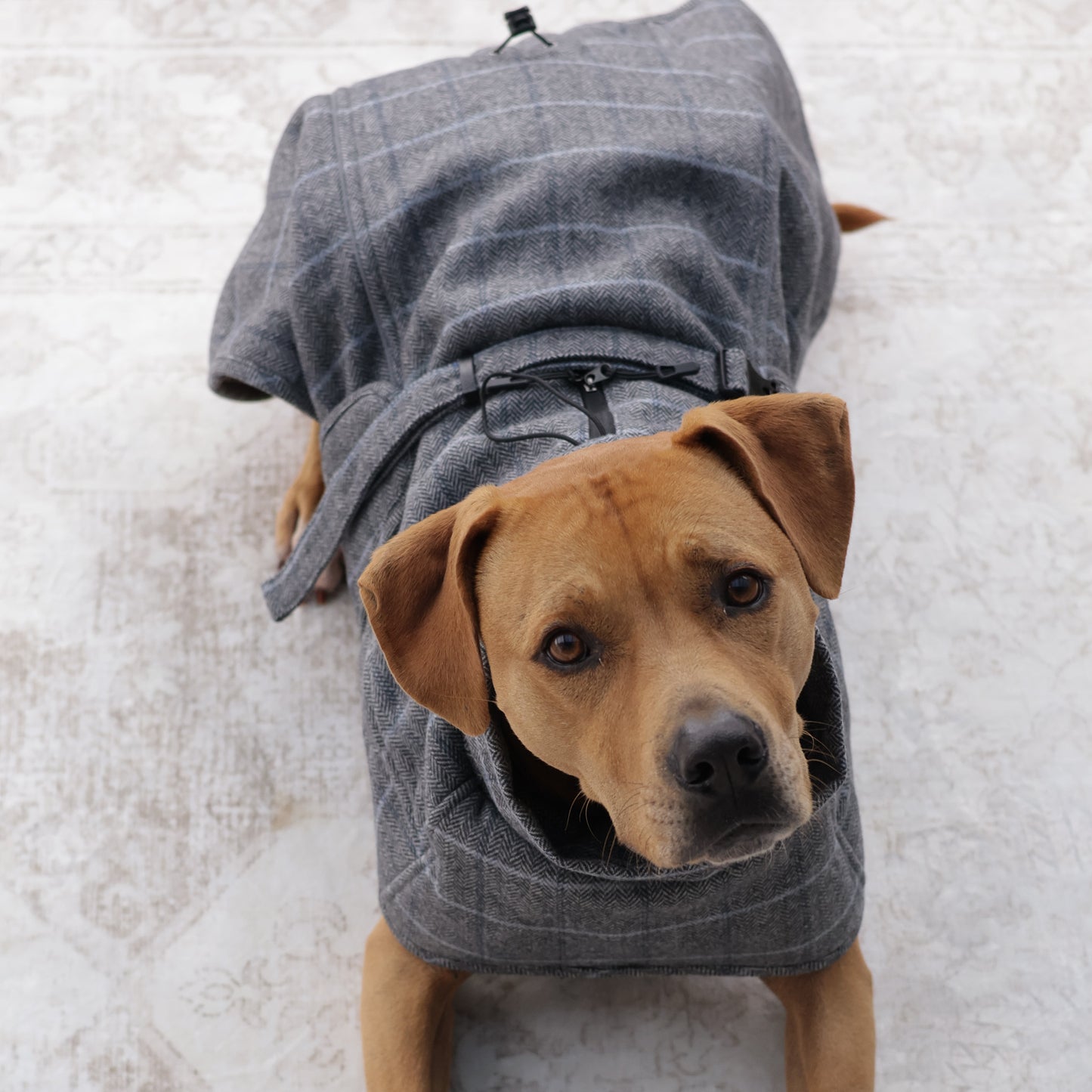 Wool-Blend Coat