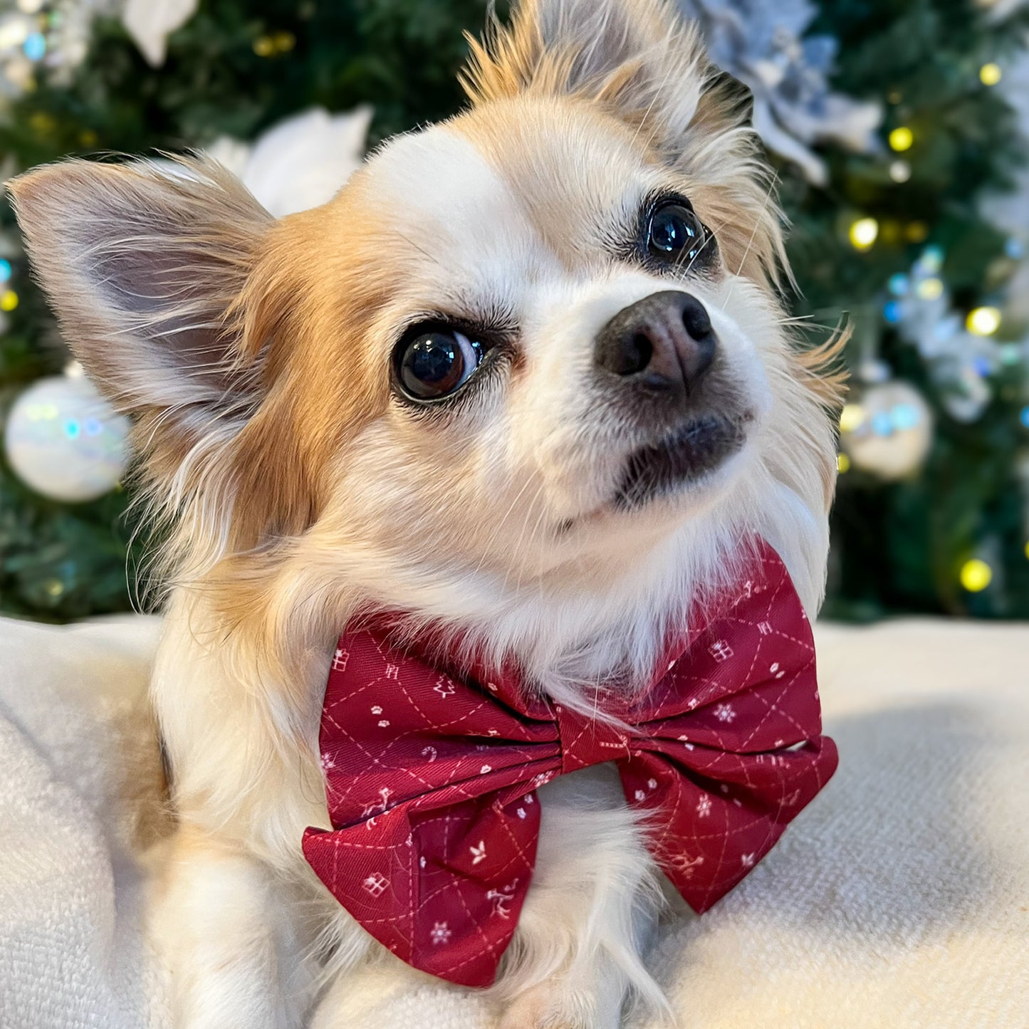 Christmas Bow Tie