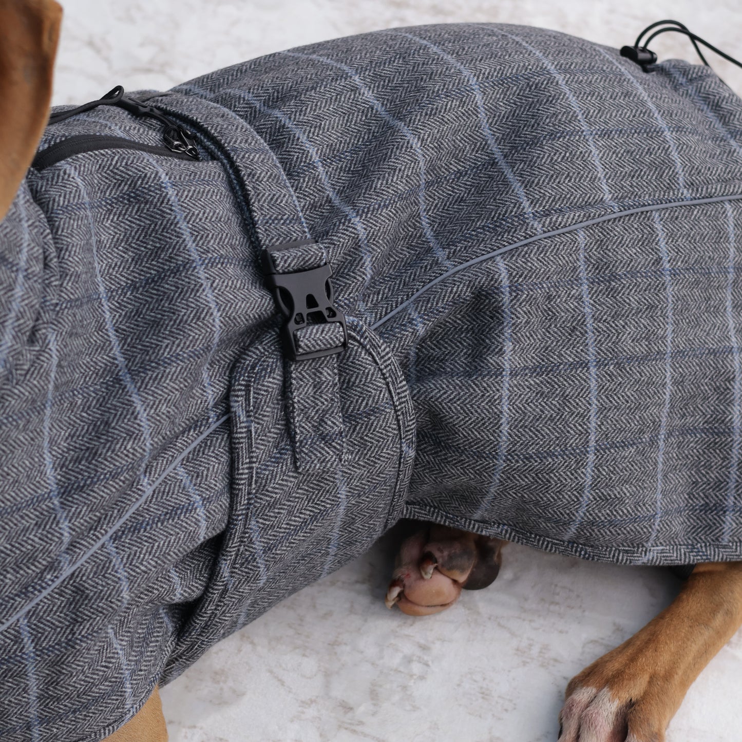 Wool-Blend Coat