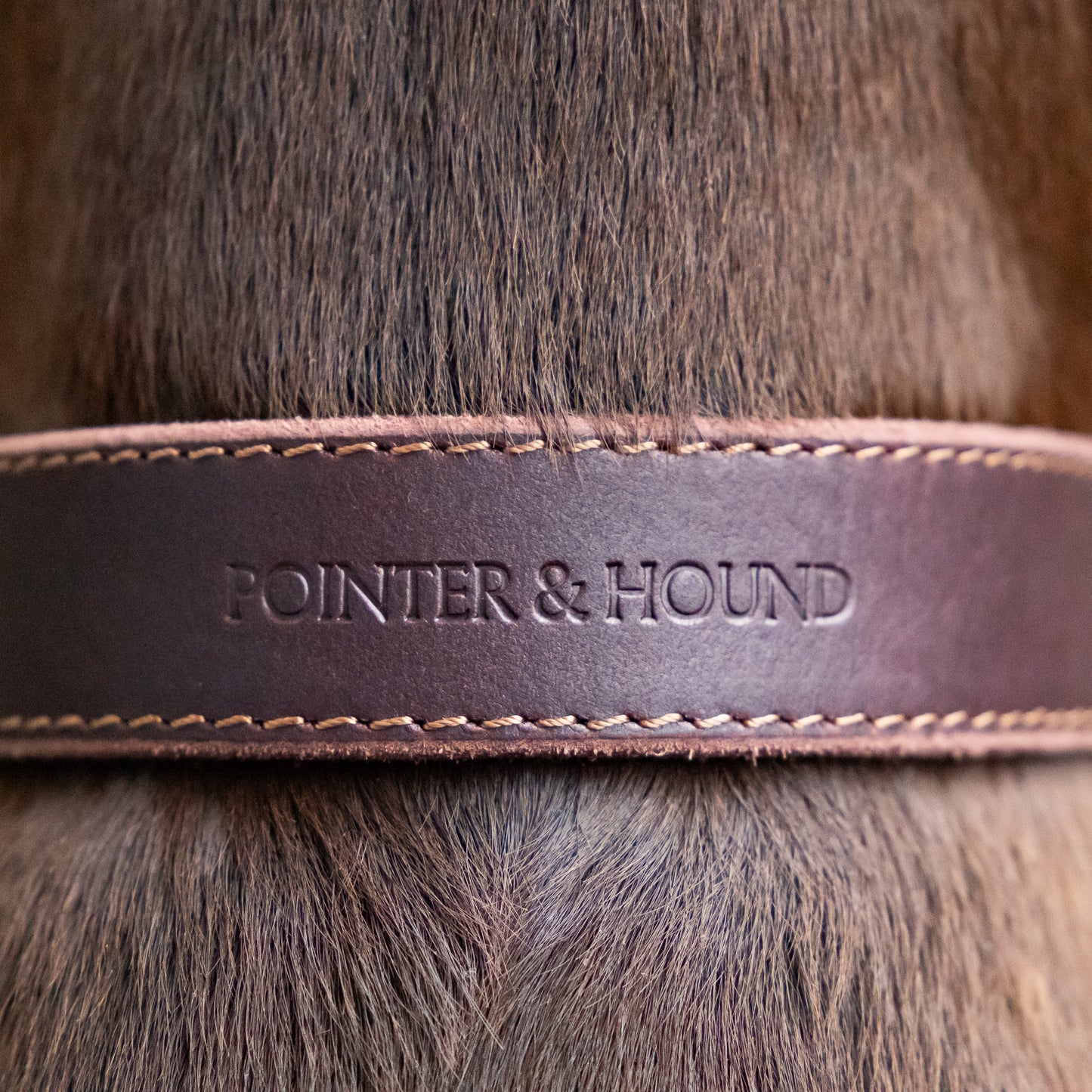 Classic Leather Collar