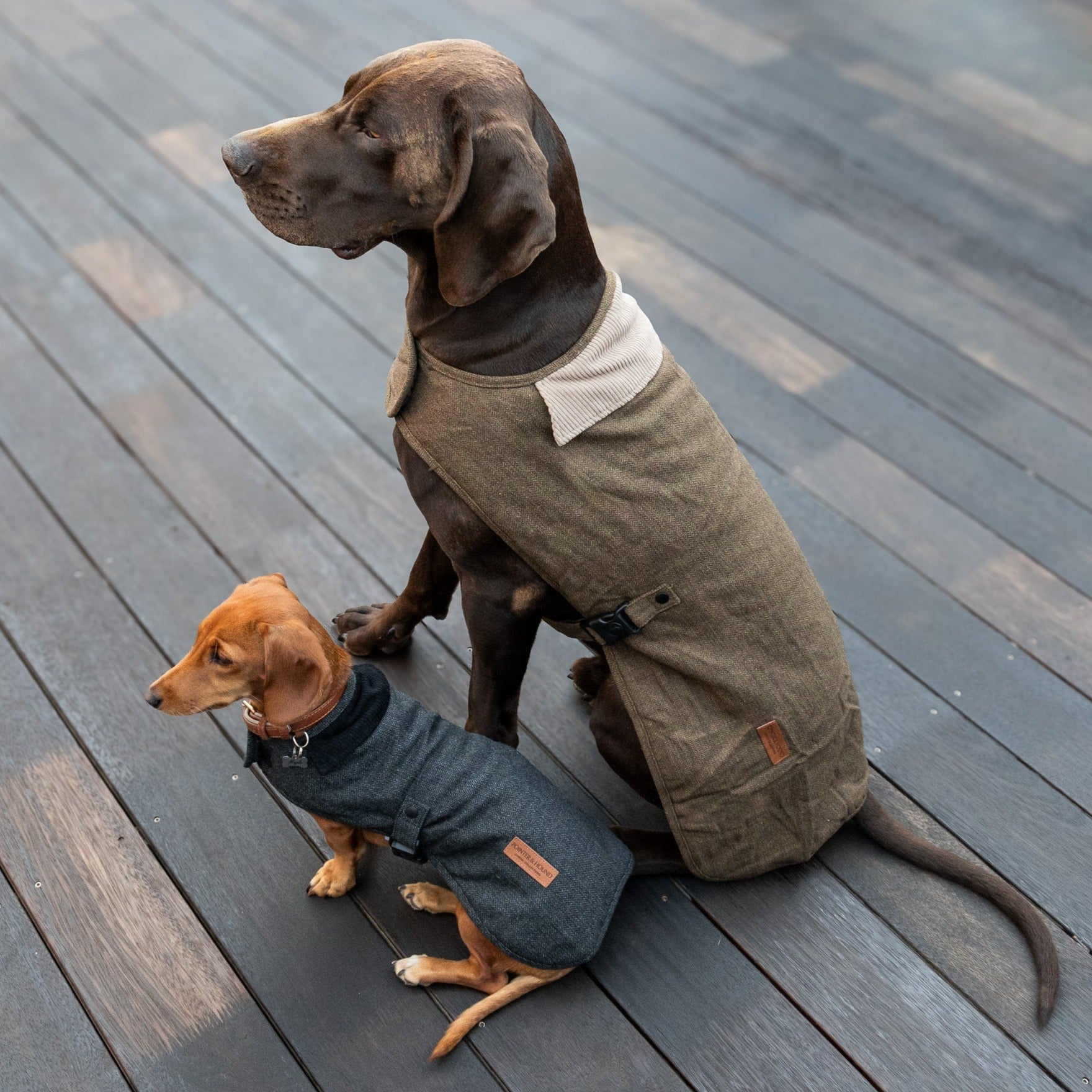 Herringbone dog coat best sale