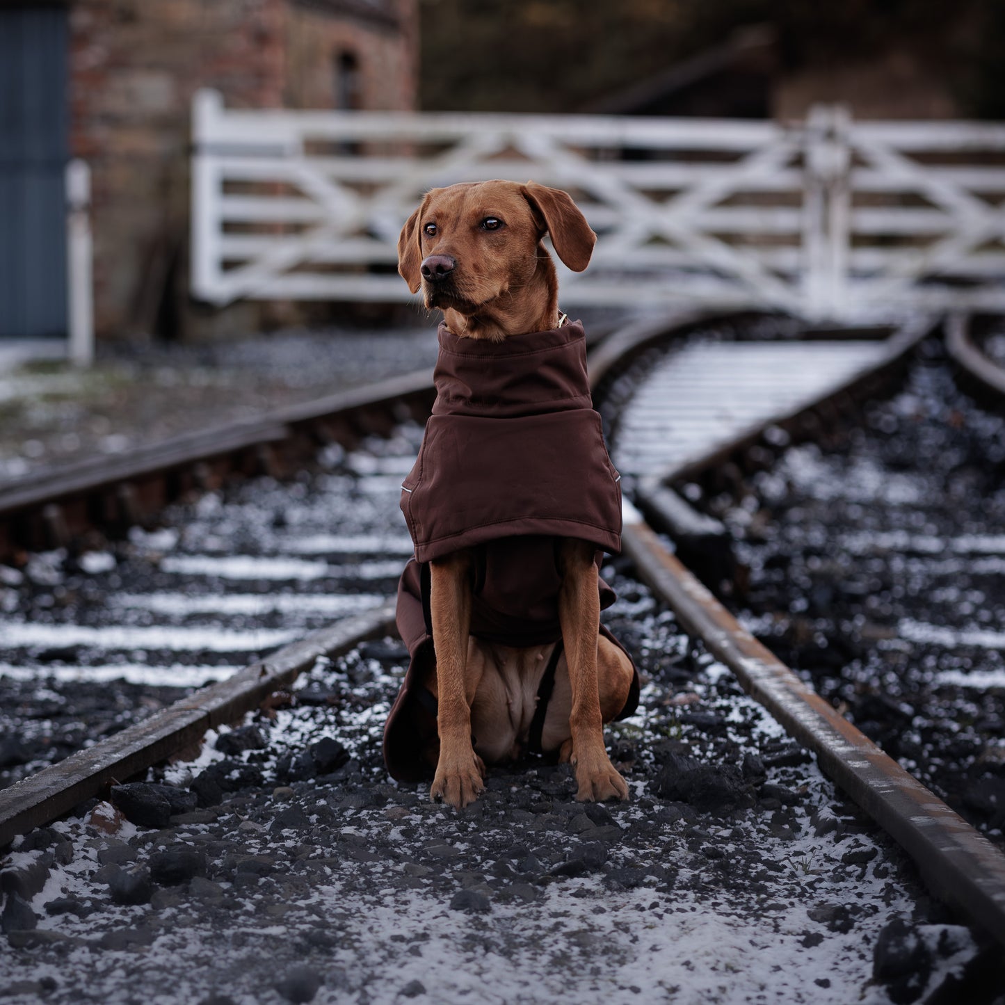 Waterproof Jacket - Maroon