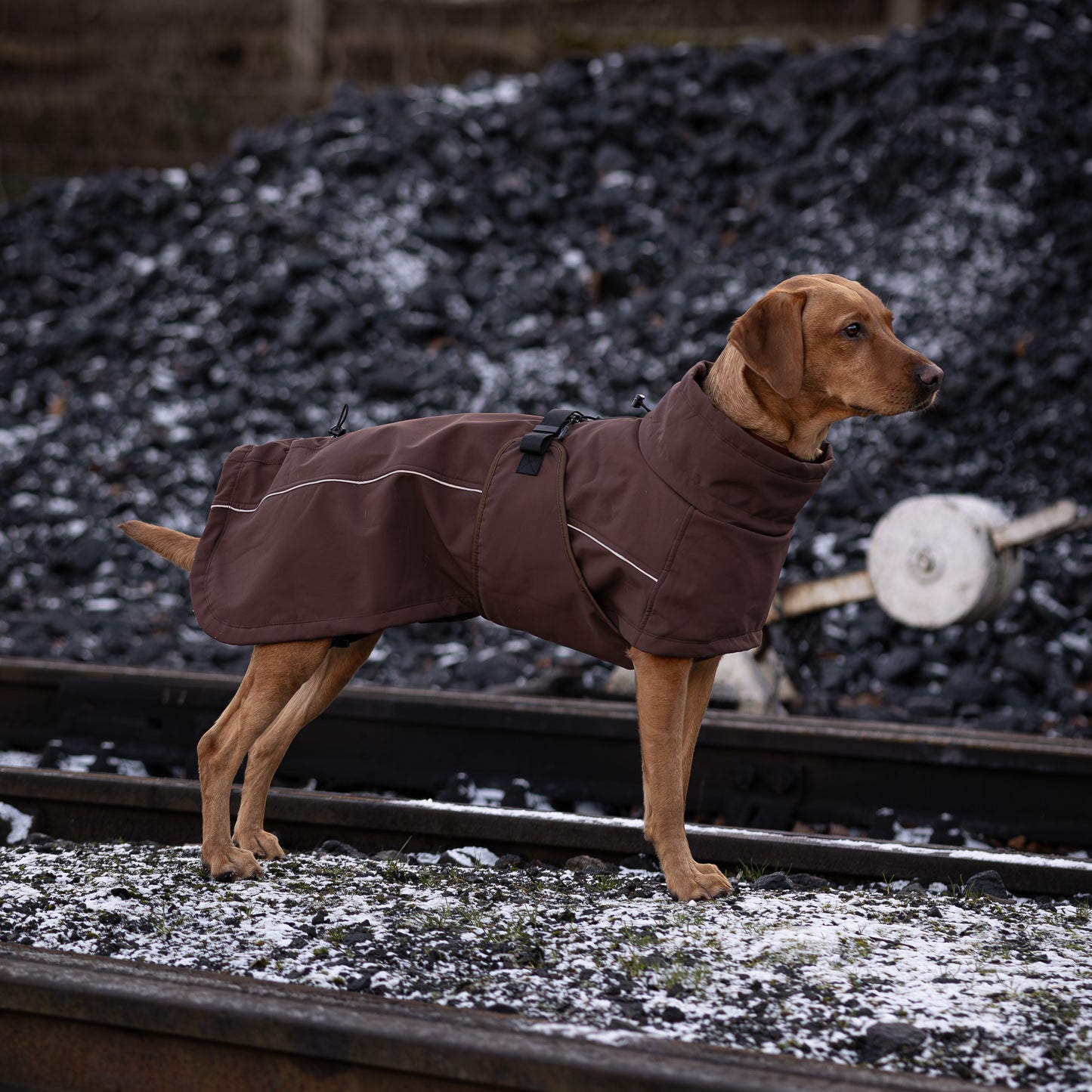 Waterproof Jacket - Maroon