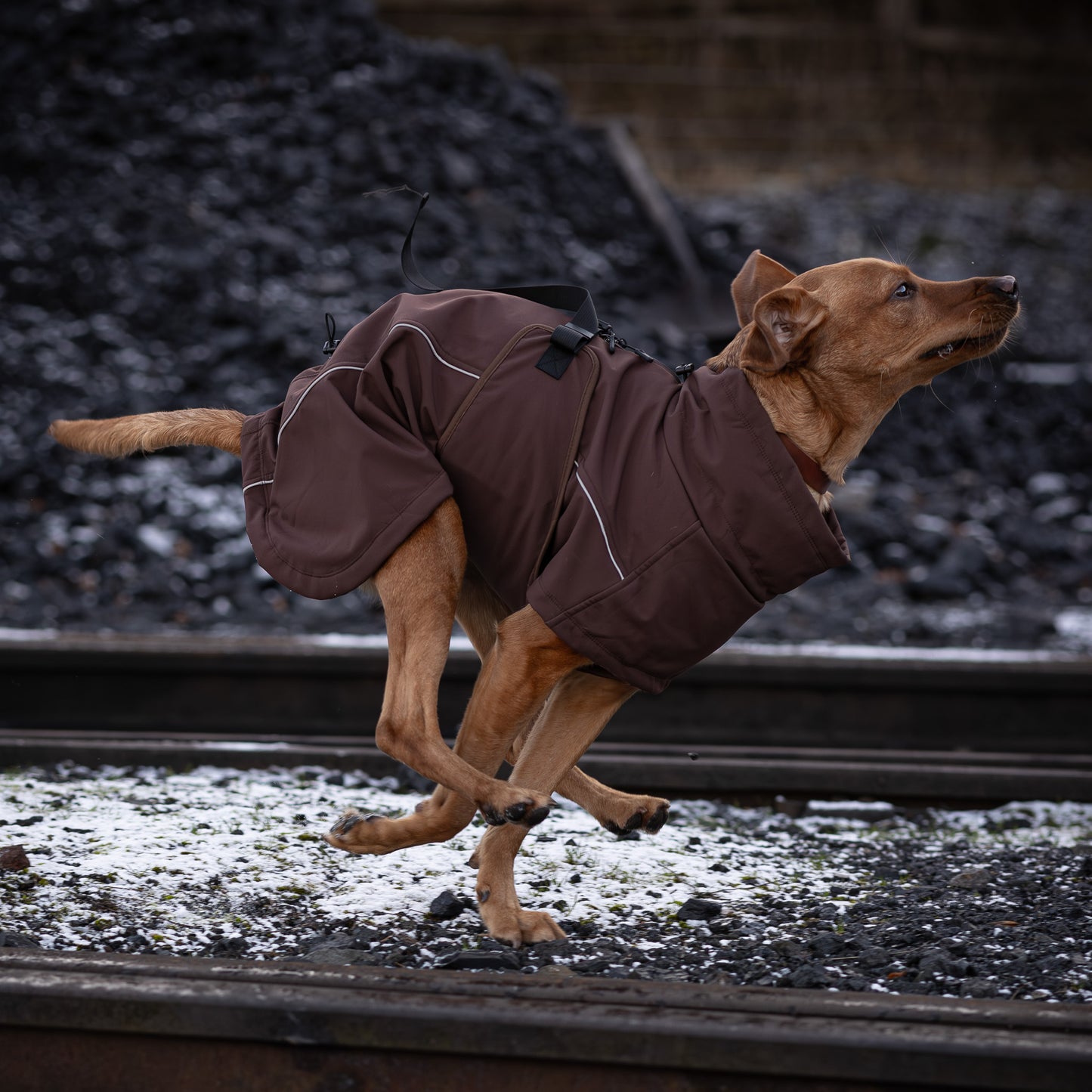Waterproof Jacket - Maroon