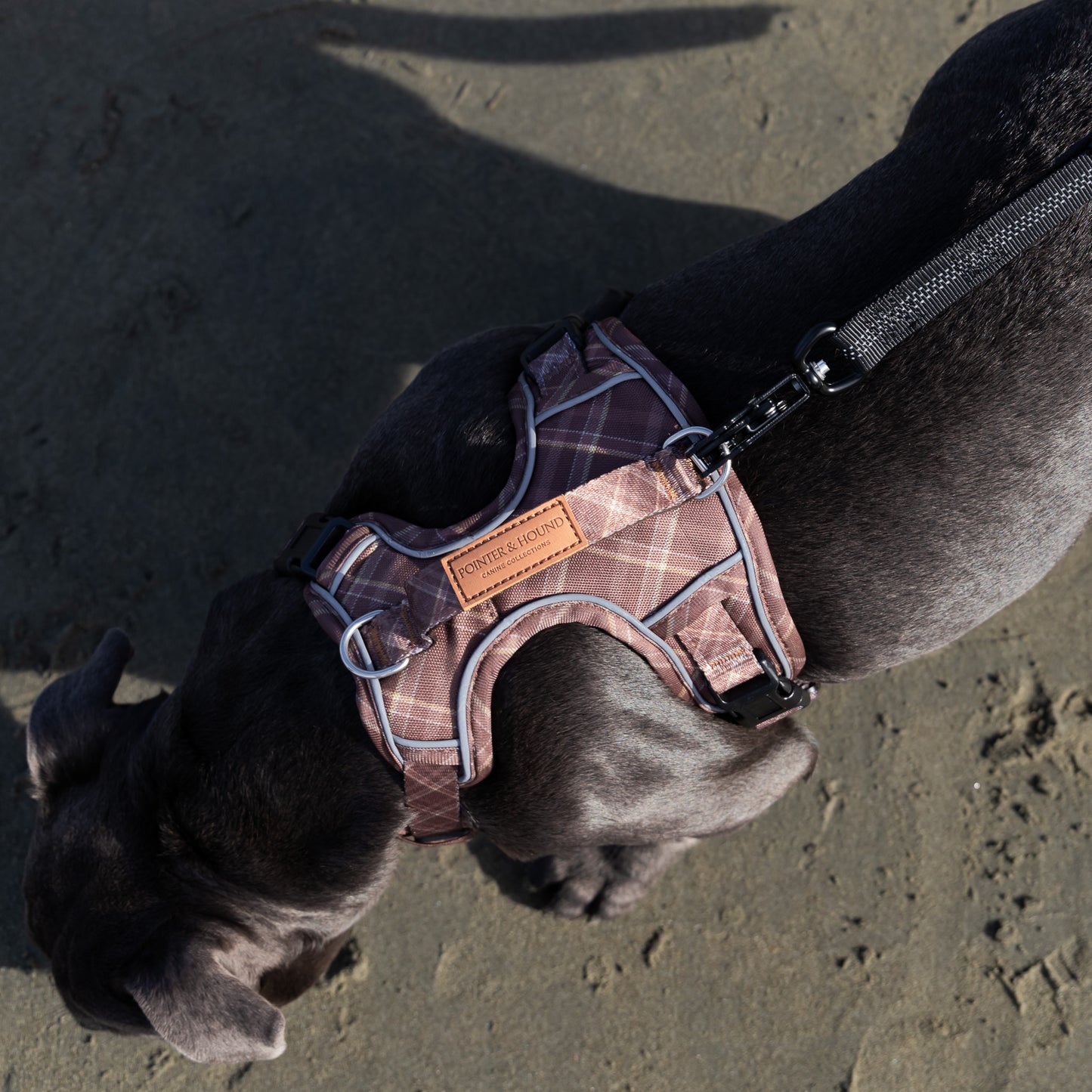 Signature Harness - Brown Tartan