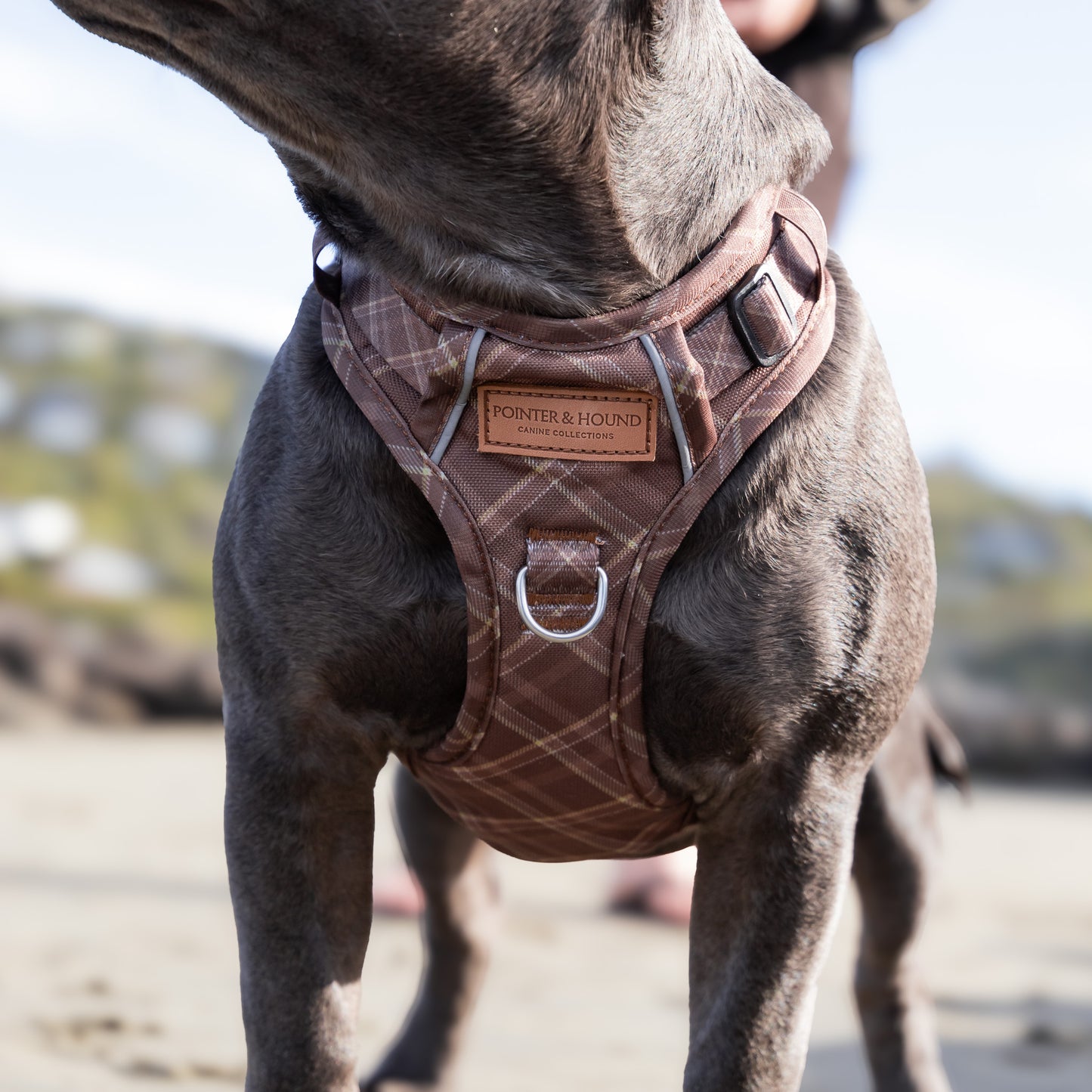 Signature Harness - Brown Tartan