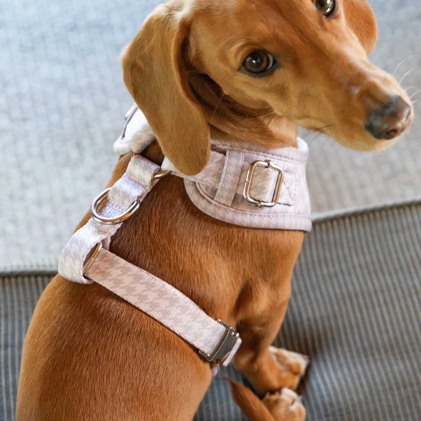 Classic Harness - Lilac Houndstooth