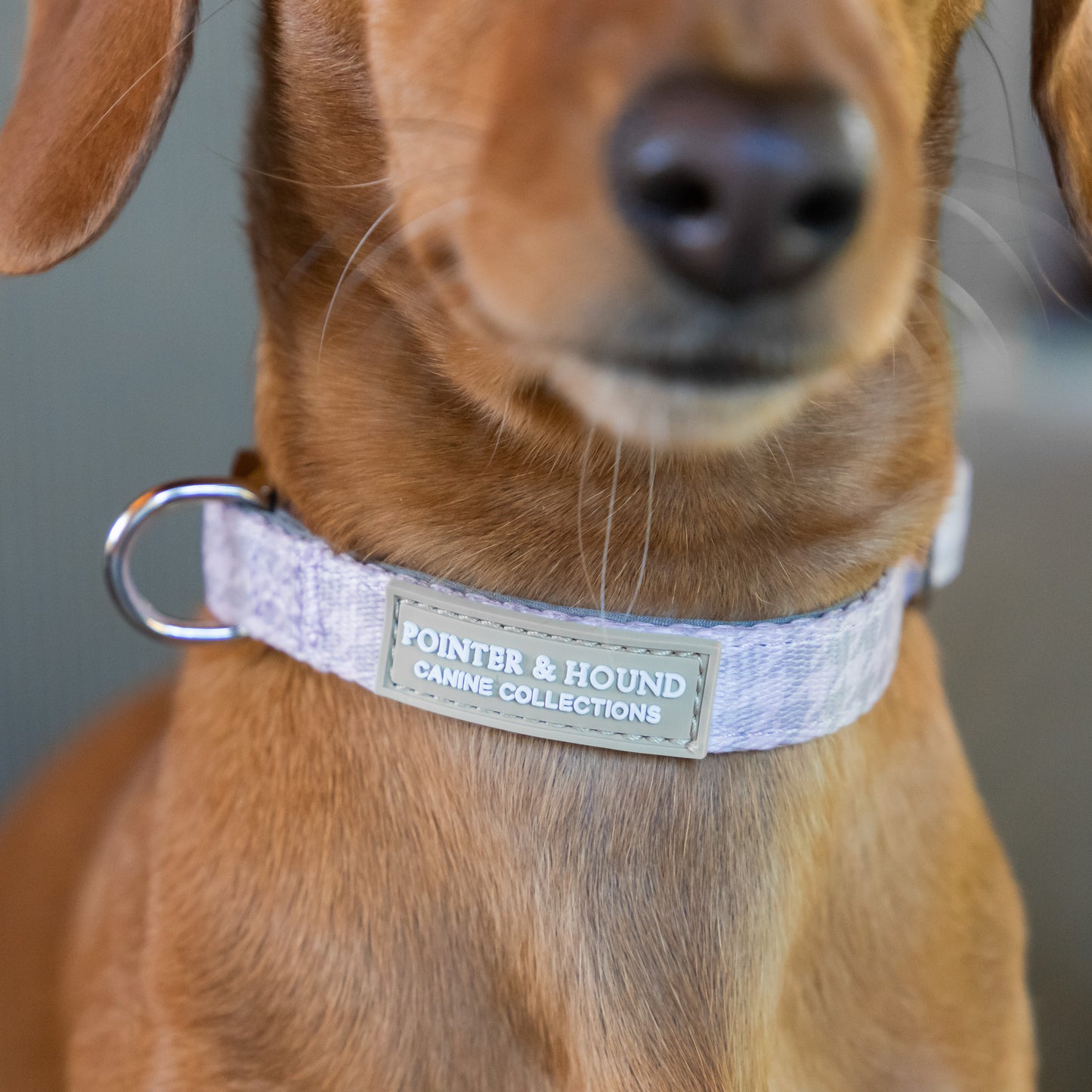 Fabric Collar - Lilac Houndstooth