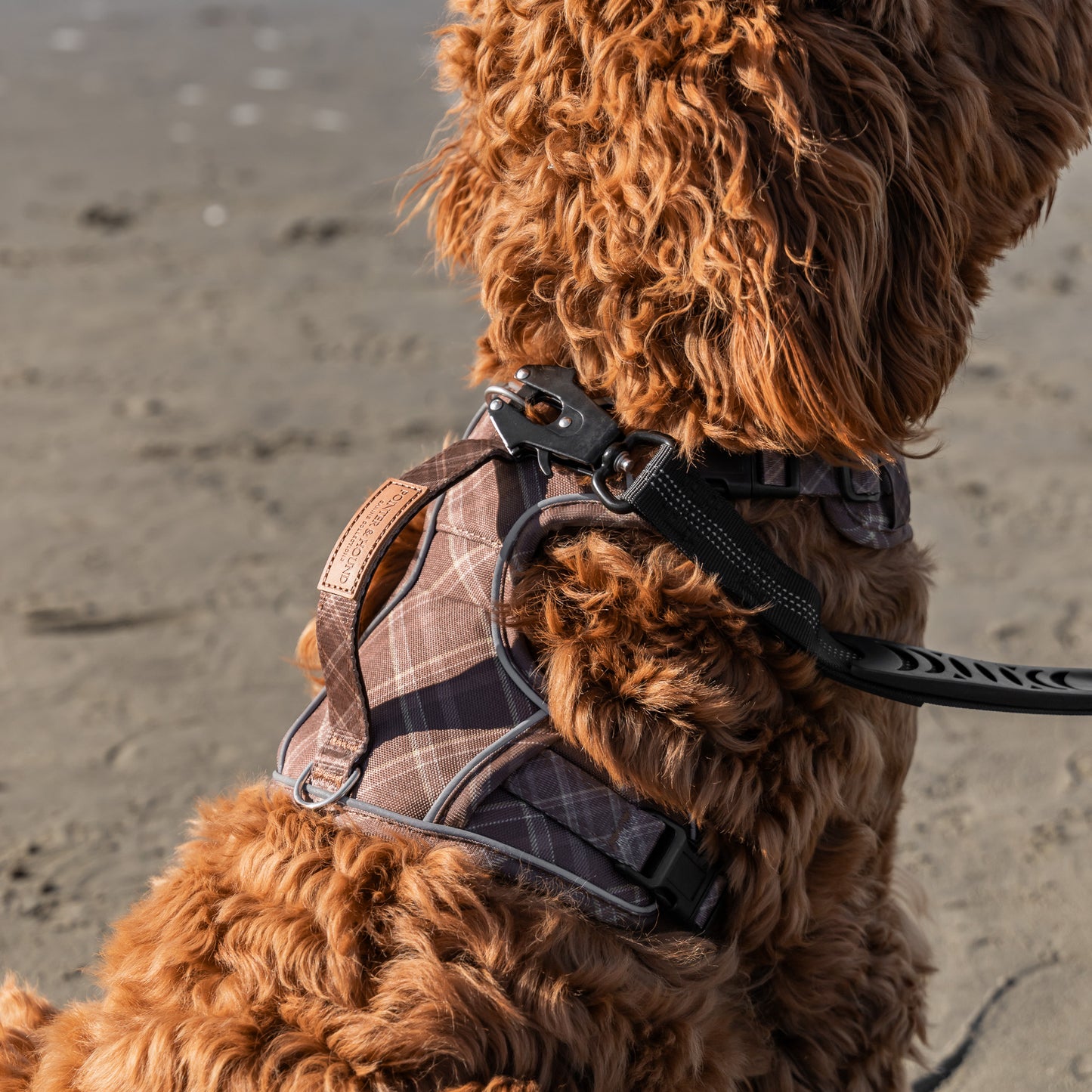 Signature Harness - Brown Tartan