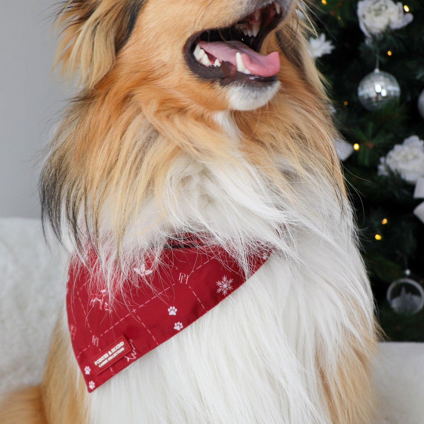 Christmas Bandana
