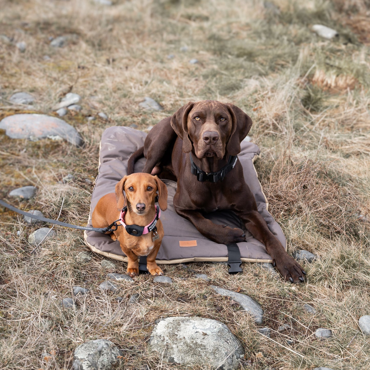 Oxford Travel Mat