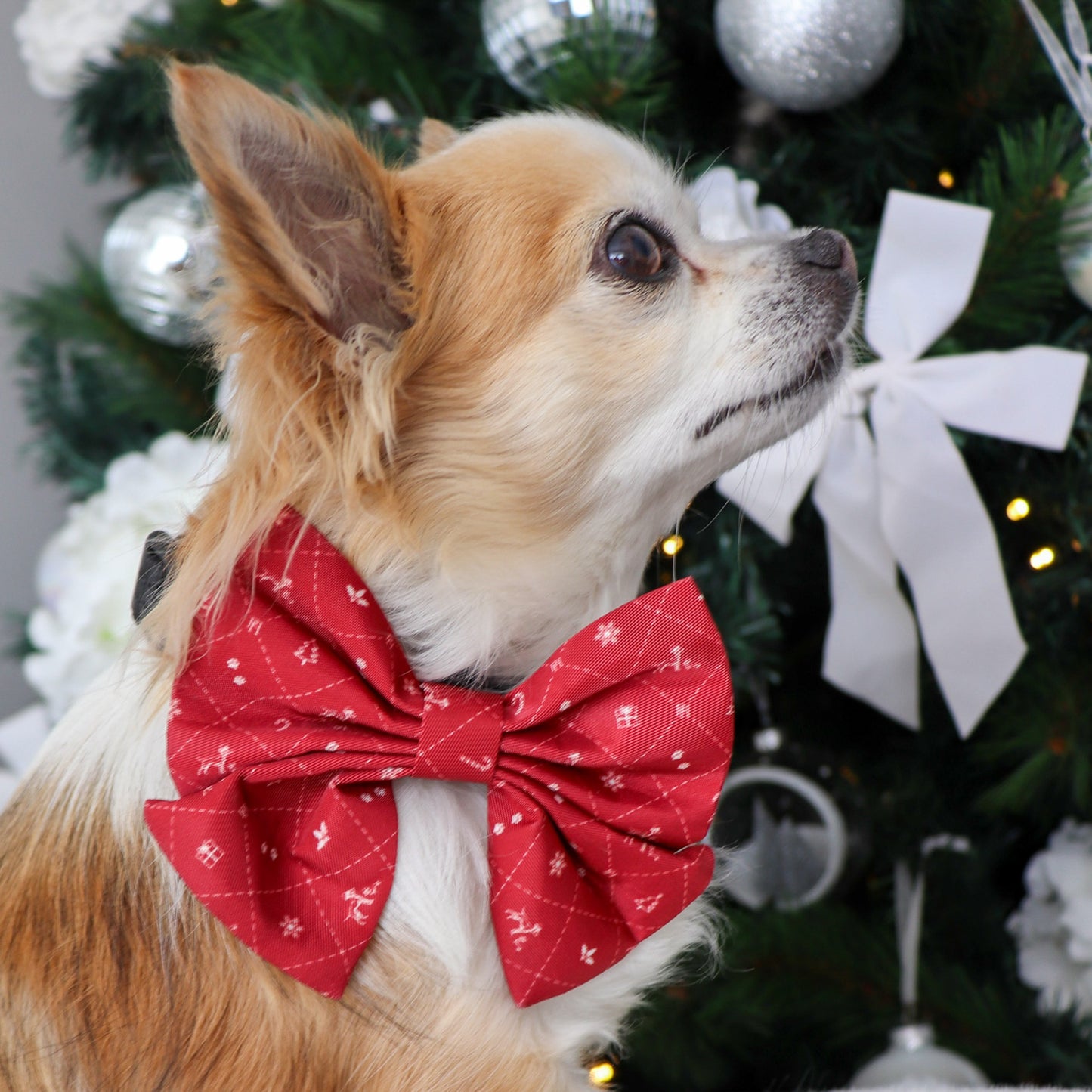 Christmas Bow Tie