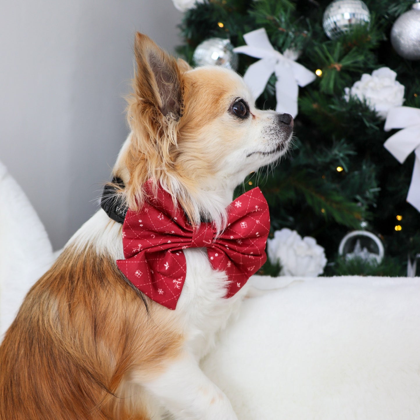 Christmas Bow Tie