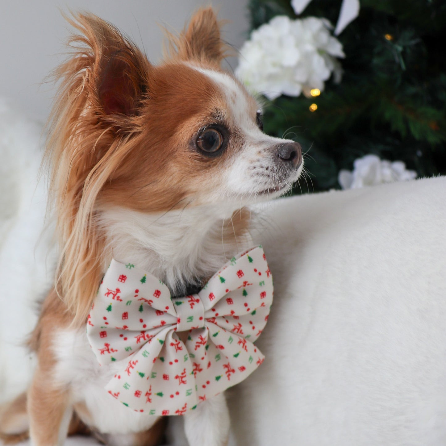 Christmas Bow Tie