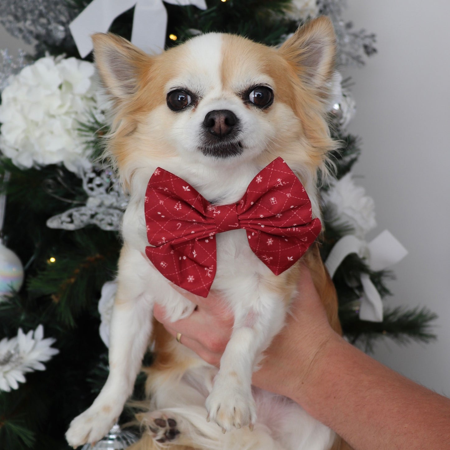 Christmas Bow Tie