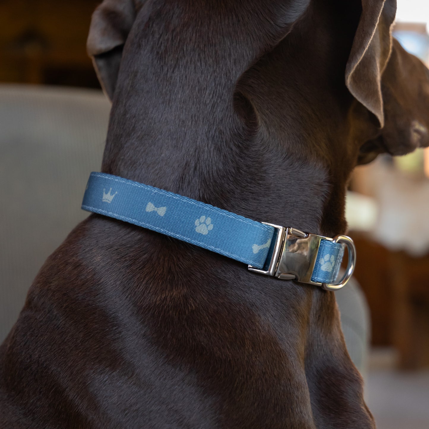 Fabric Collar - Toby Print