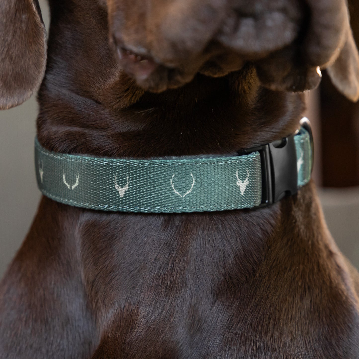 Fabric Collar - Stag