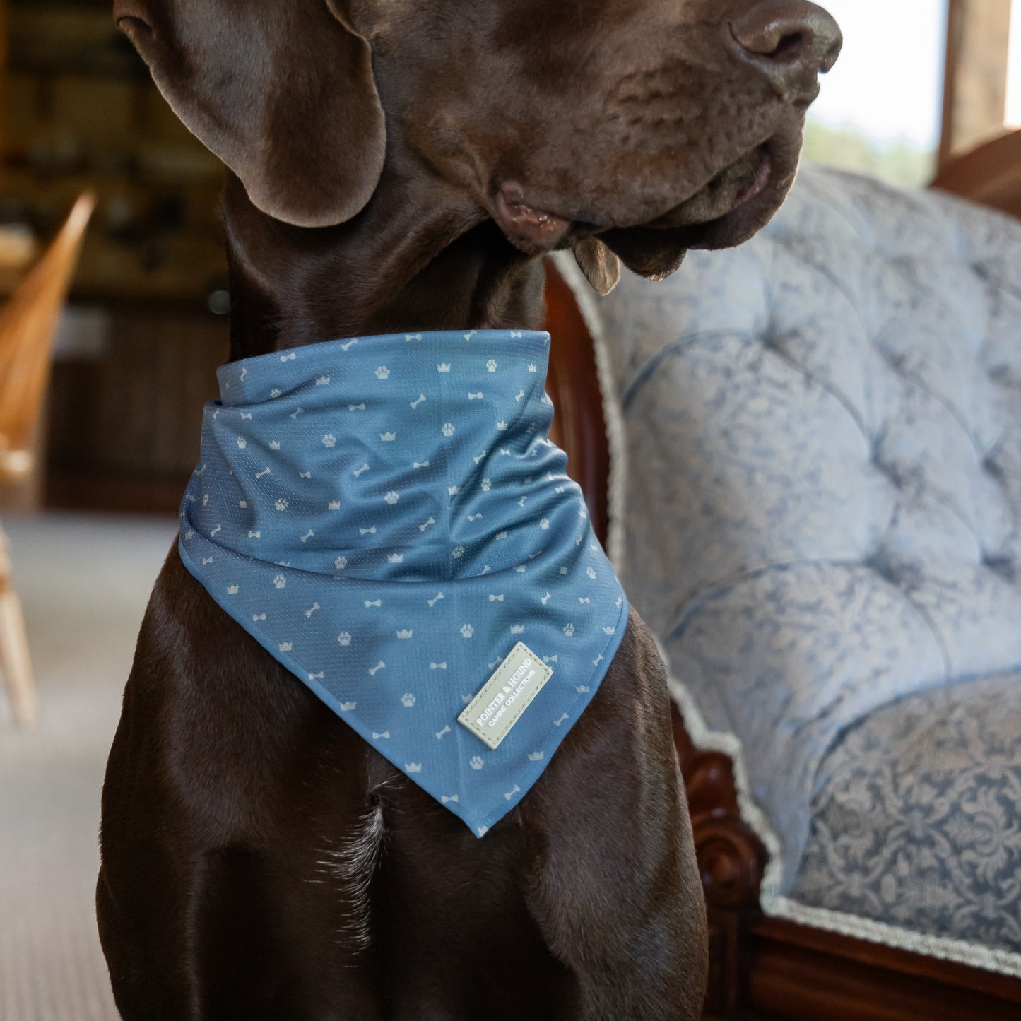 Bandana - Toby Print