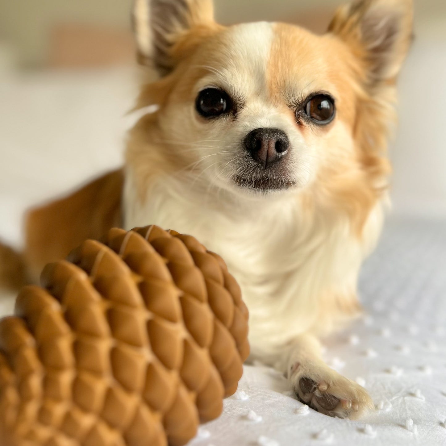 Pinecone Toy