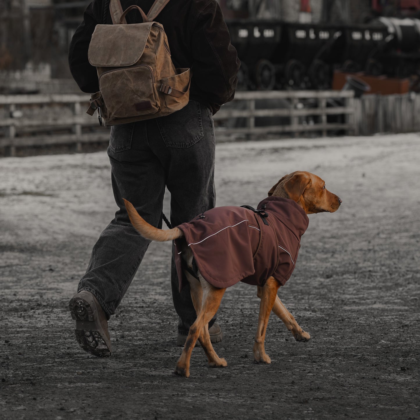 Waterproof Jacket - Maroon