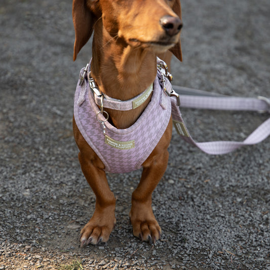 Classic Harness - Lilac Houndstooth