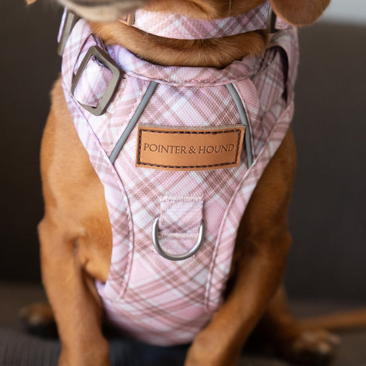 Signature Harness - Pink Tartan