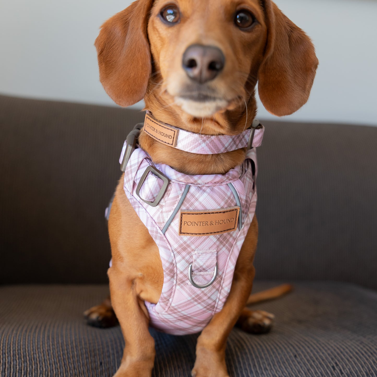 Signature Harness - Pink Tartan