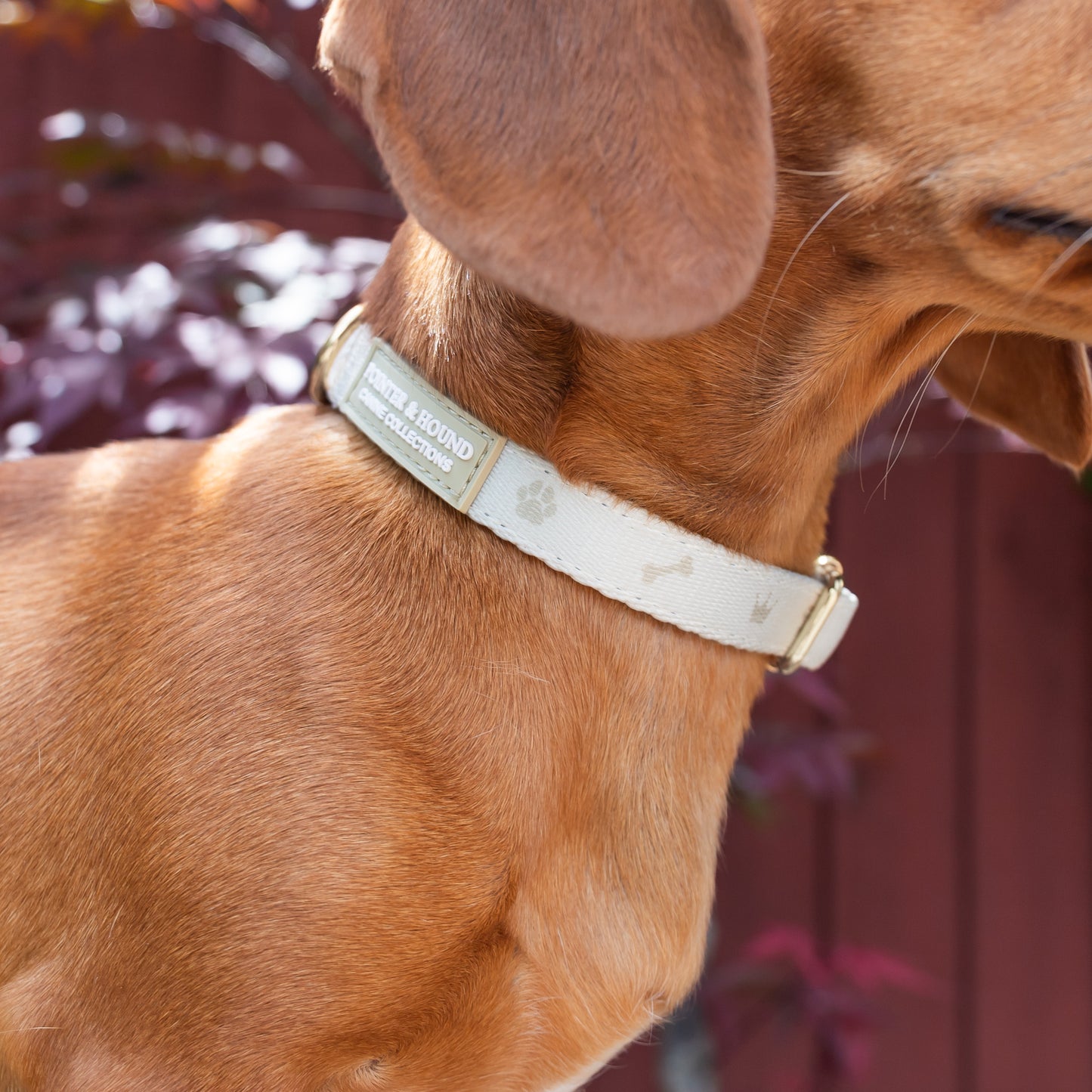 Fabric Collar - Maple Print