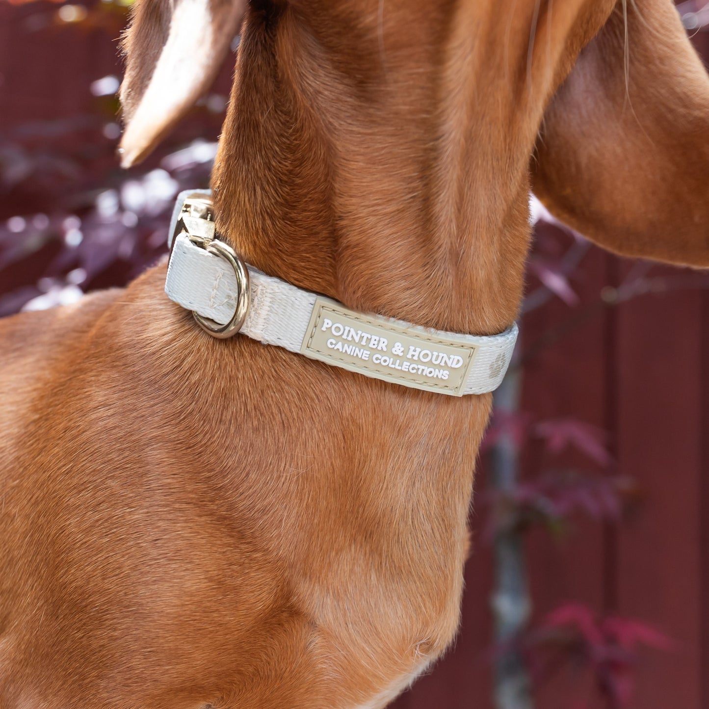 Fabric Collar - Maple Print