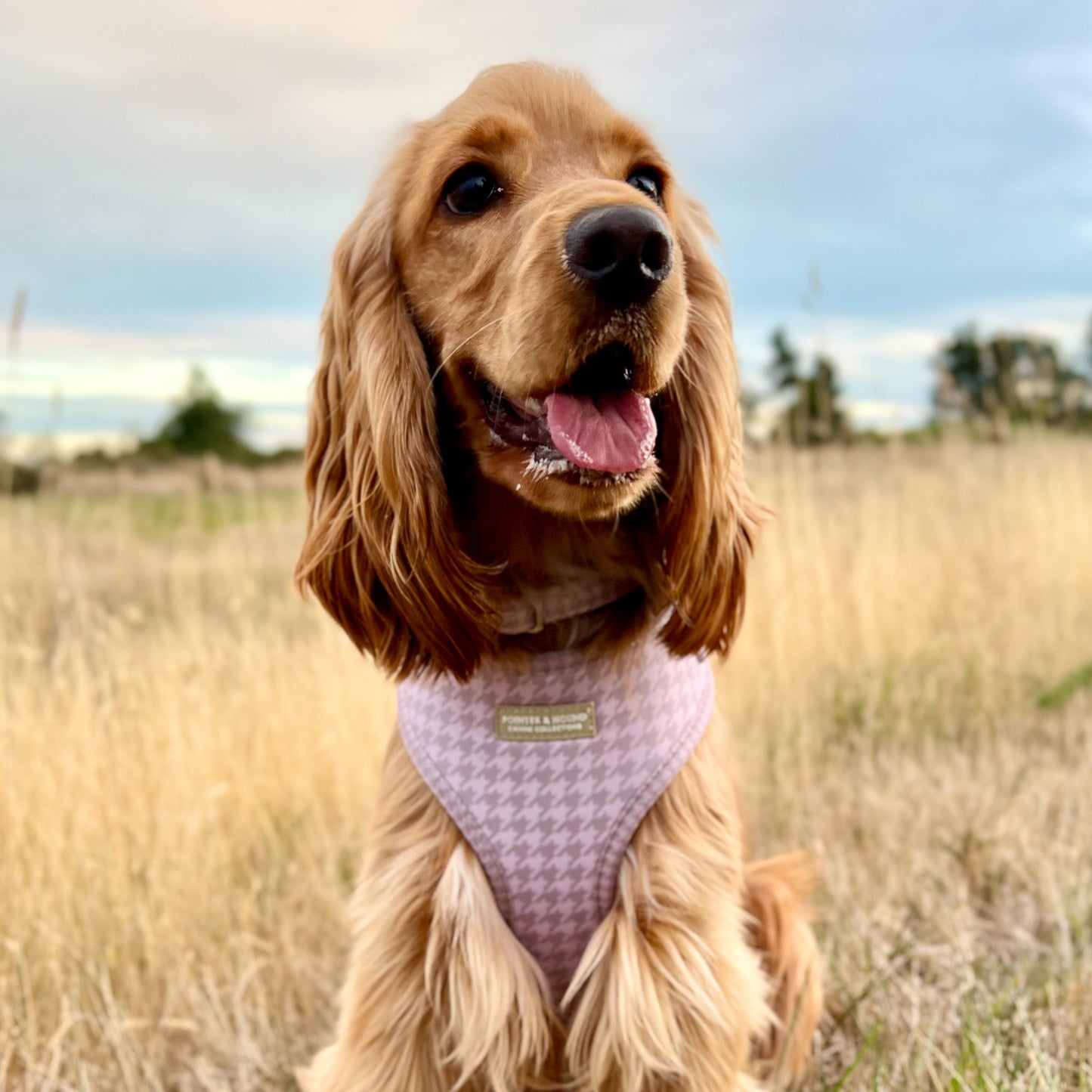 Classic Harness - Lilac Houndstooth