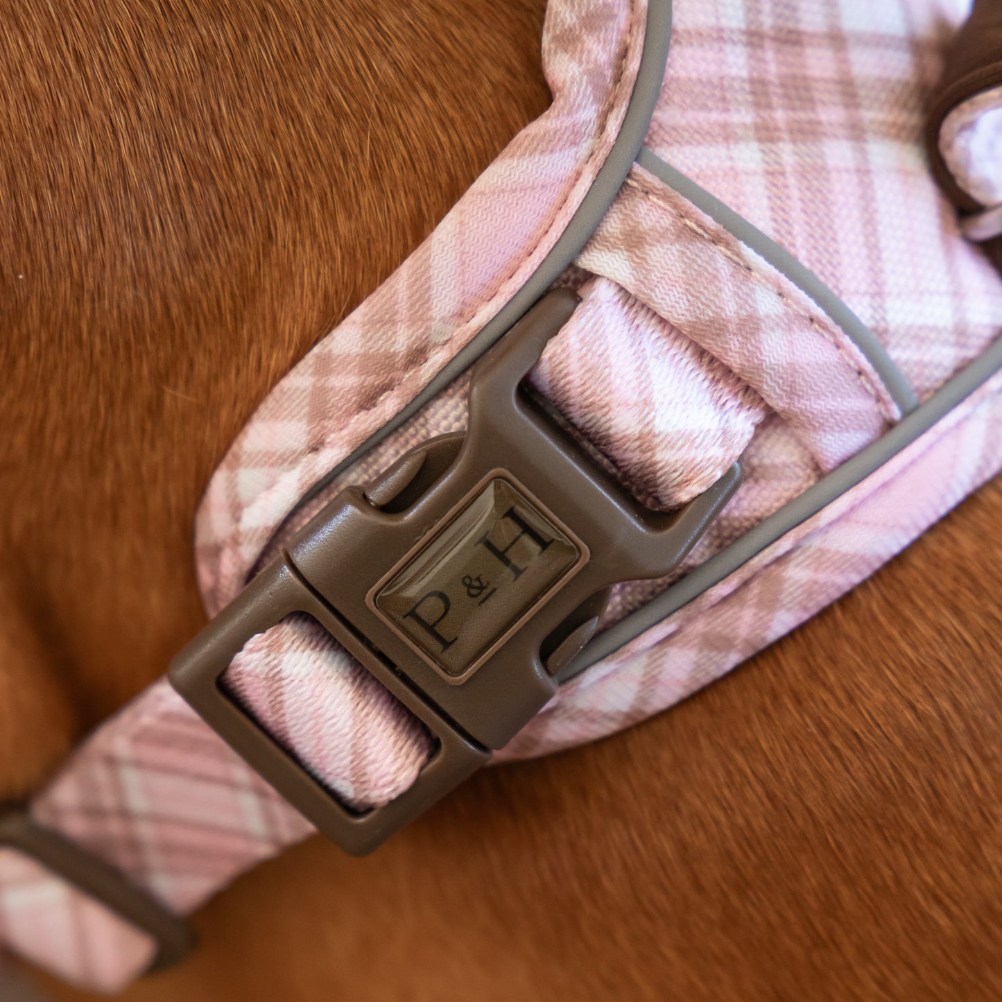 Signature Harness - Pink Tartan