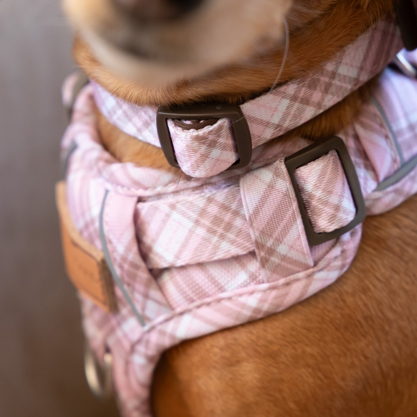 Pink Tartan Collar