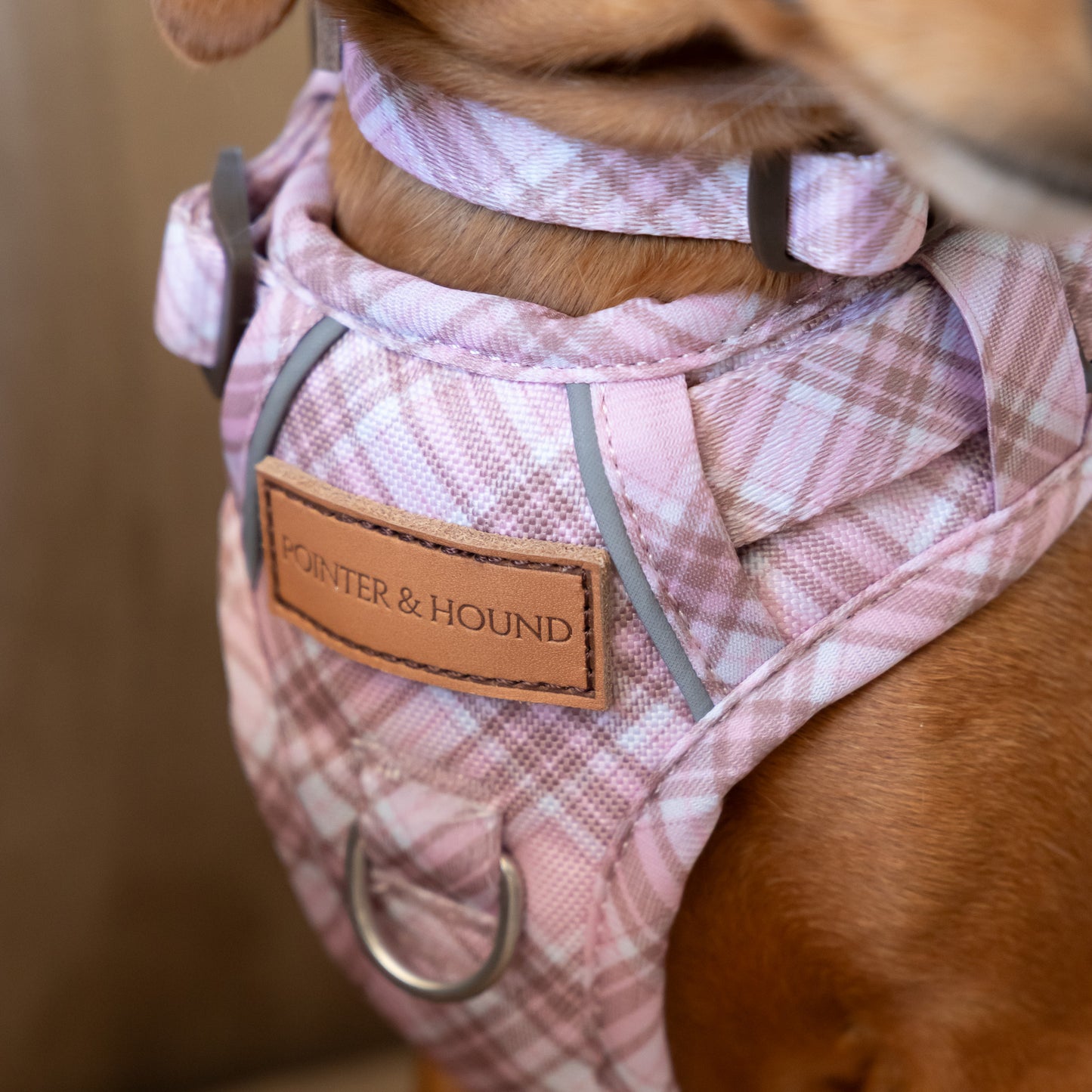 Signature Harness - Pink Tartan