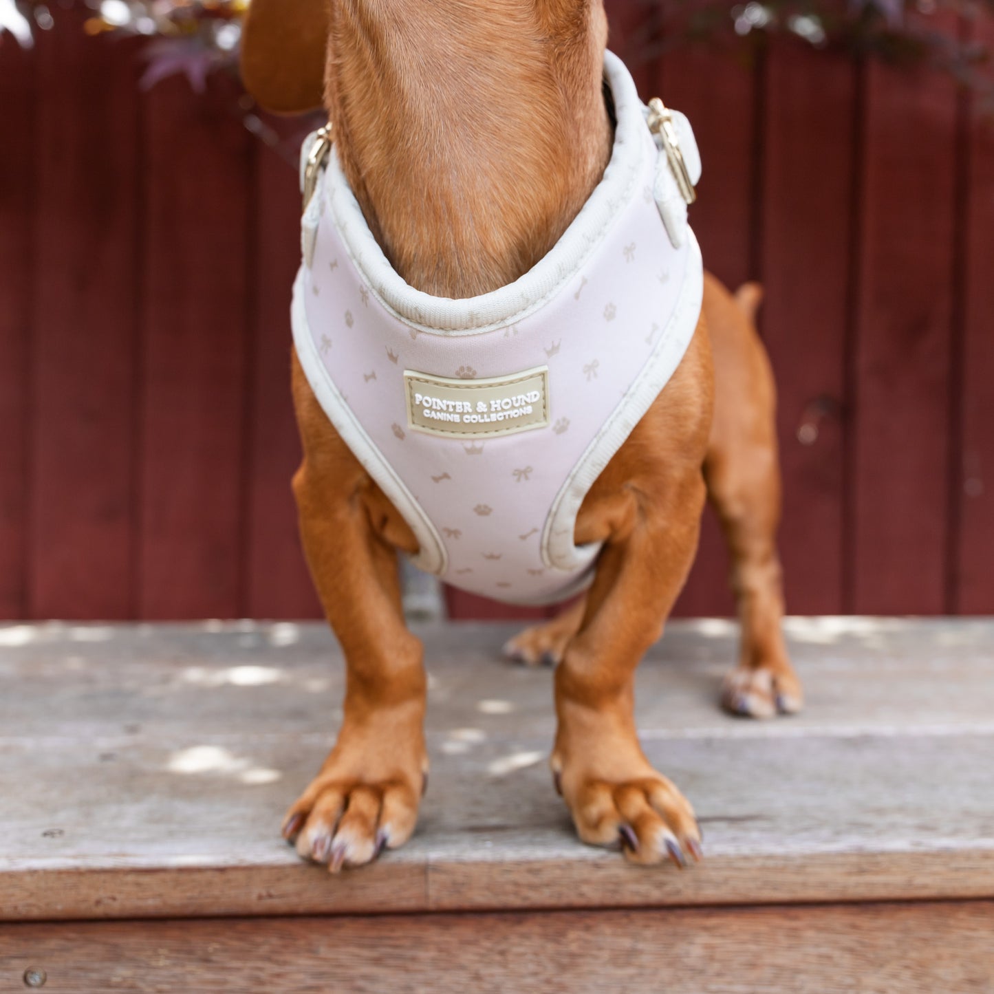 Classic Harness - Maple Print