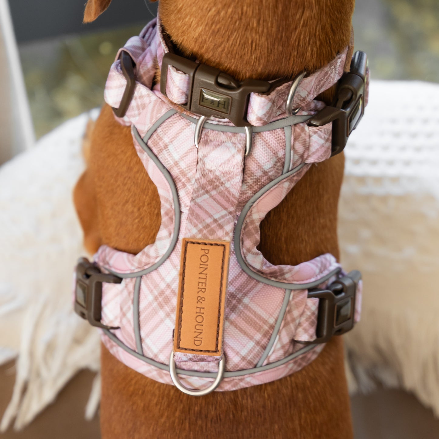 Signature Harness - Pink Tartan