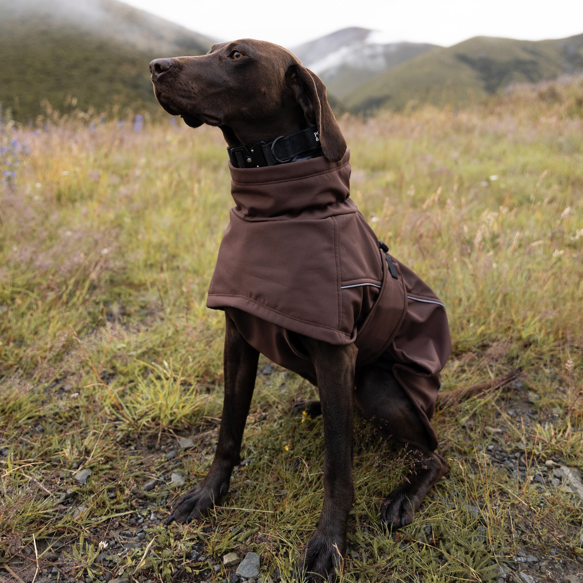 Waterproof Jacket - Maroon Brown – Pointer & Hound