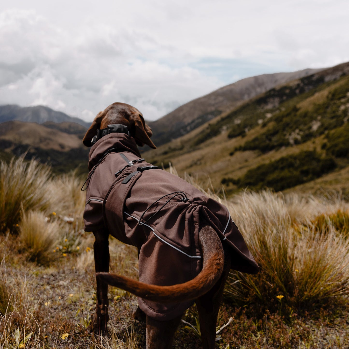 Waterproof Jacket - Maroon