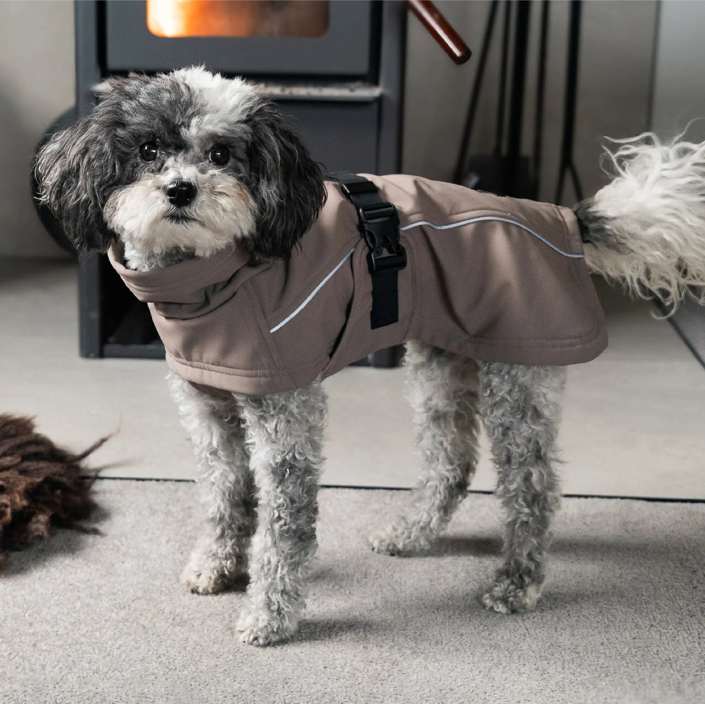 Waterproof Jacket - Mushroom