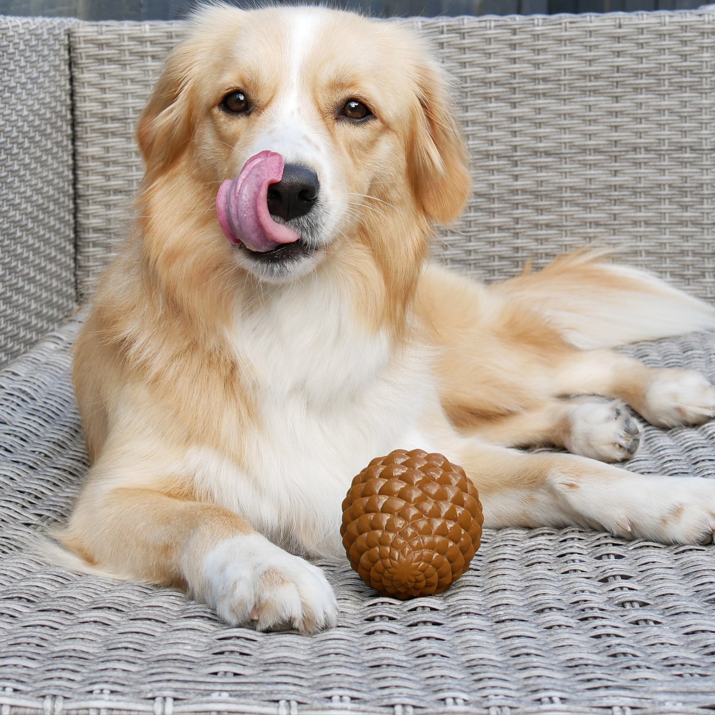 Pinecone Toy